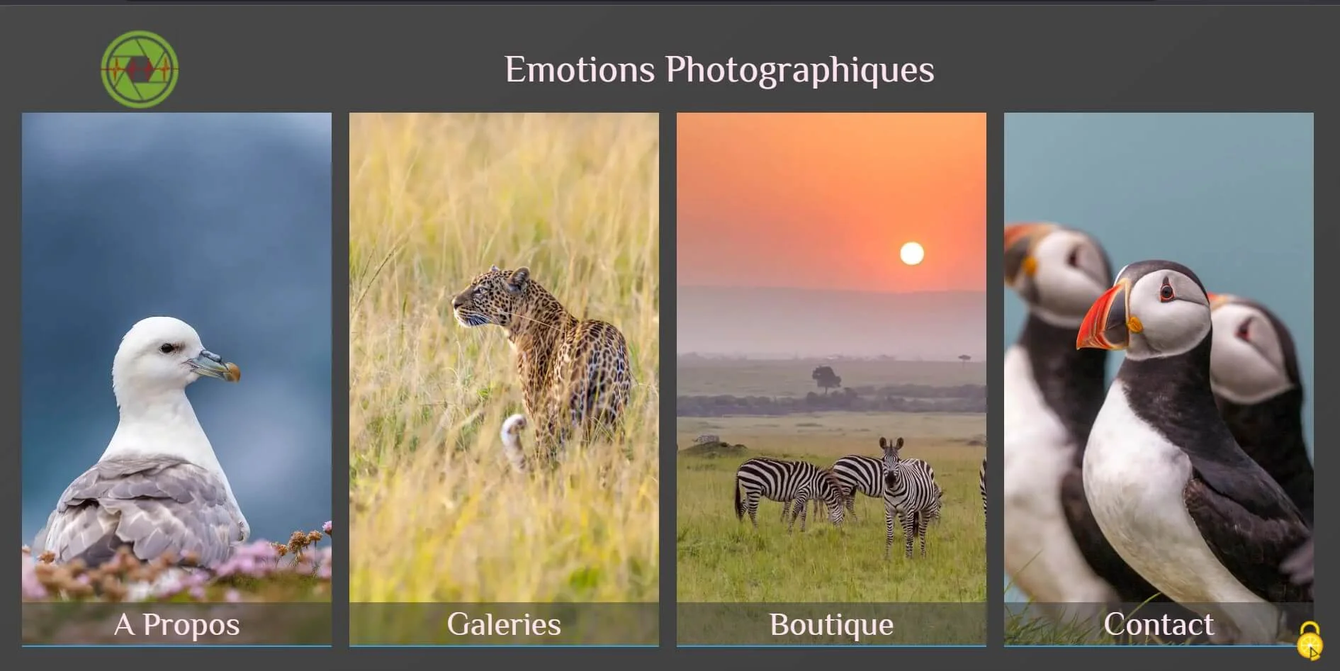 Page d'accueil du site emotions photographiques